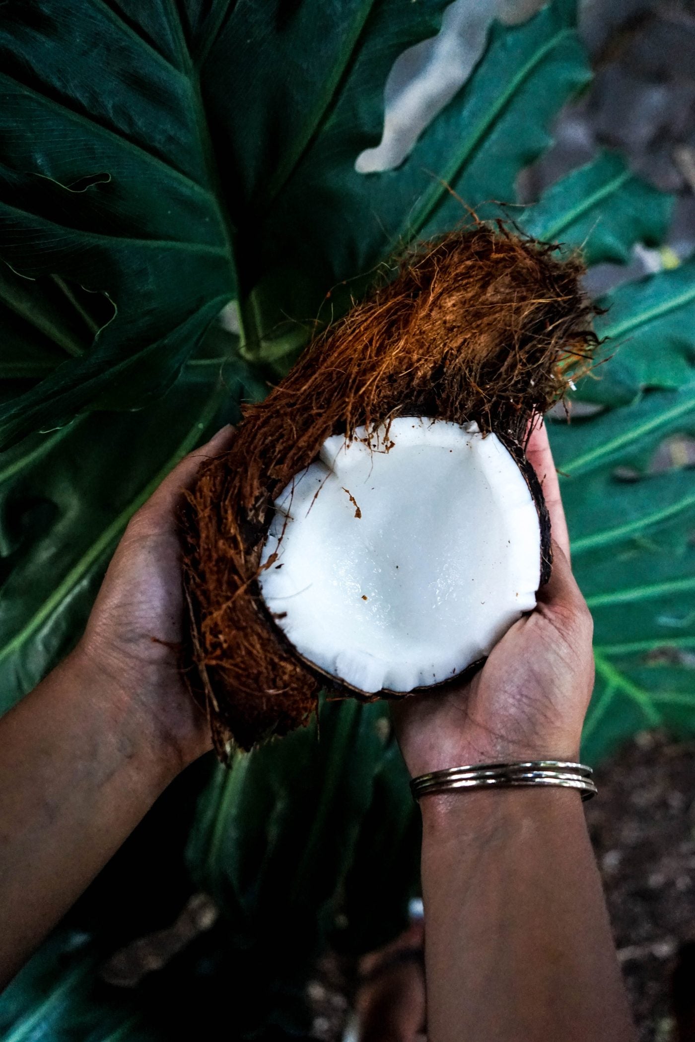 Coconuts