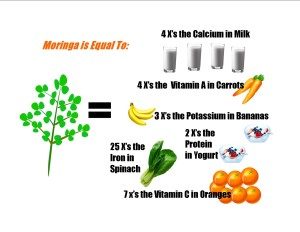 Moringa equals the nutritional value of many fruits and veggies